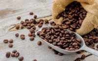 Premium Arabica Coffee Beans | Direct Exports from Origin