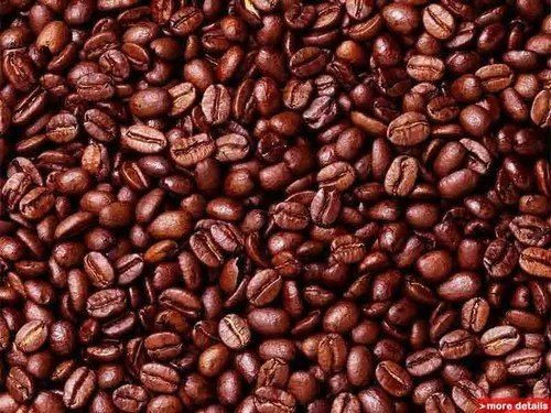 Premium Kenyan Robusta Coffee Beans | Bulk Export Supply