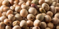 Export Quality Pigeon Peas | Whole & Split | Bulk Wholesale Supply