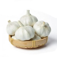 Pure White Garlic - Premium Quality, Fresh & Flavorful