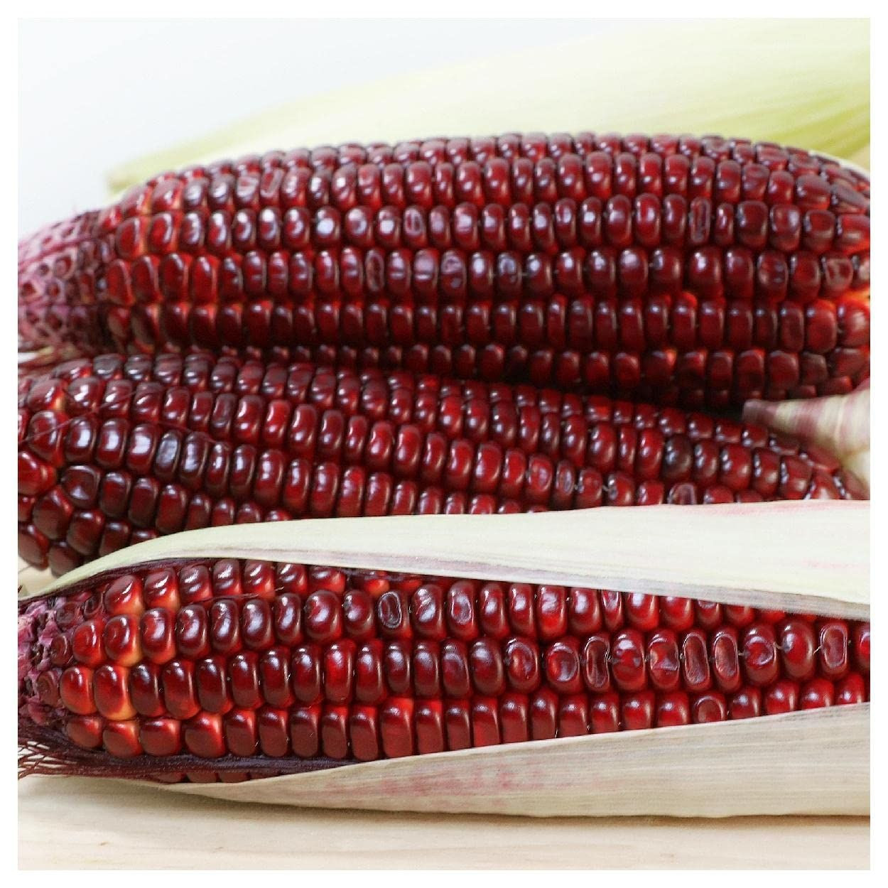 Red Corn / Red Maize | Premium Grade for Food and Feed