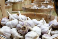 Clove Garlic for Sale | Premium Fresh Garlic Export from Kenya