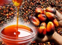 High-Quality Palm Oil from Kenya - Refined & Crude | Bulk Supply for Export