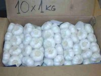 Pure White Garlic - Premium Quality, Fresh & Flavorful