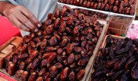 Dried Dates for Sale | Premium Quality Bulk Export from Kenya