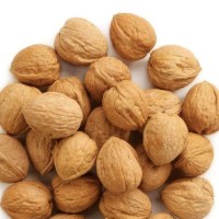 Top-Grade Kenyan Walnuts for Export - Raw, Shelled & Blanched | Competitive Prices