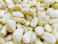 Peeled Garlic for Sale | Fresh Ready-to-Use Garlic Export from Kenya
